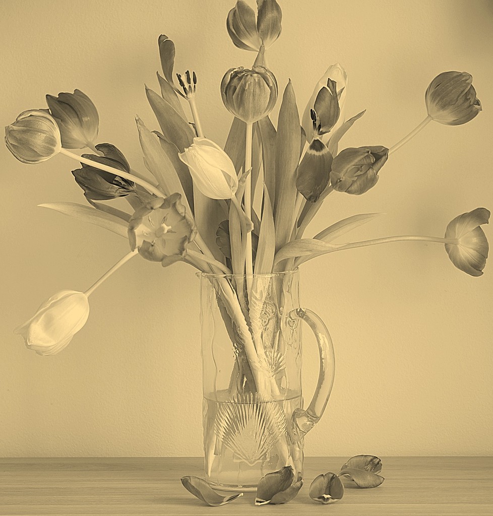 a vase of tulips by quietpurplehaze