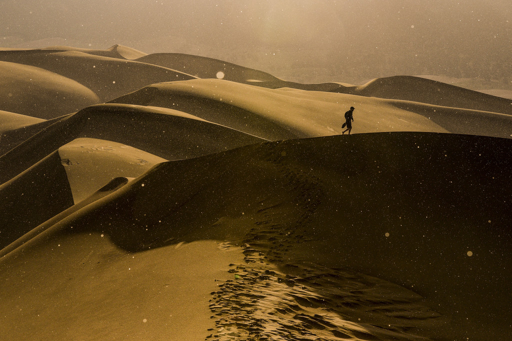 Sand Dunes by erinhull
