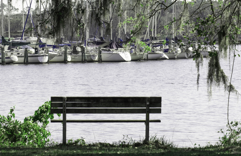 Empty Bench by rickster549