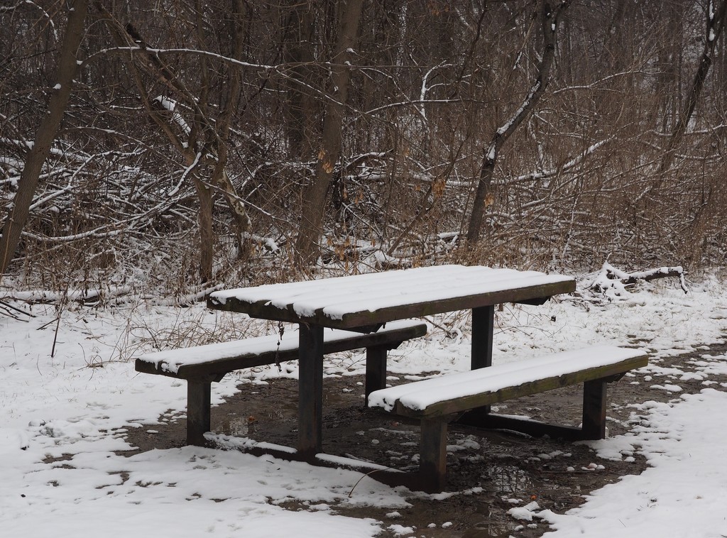 Lonely Picnic Table by selkie