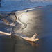 Reflection on Ice by selkie