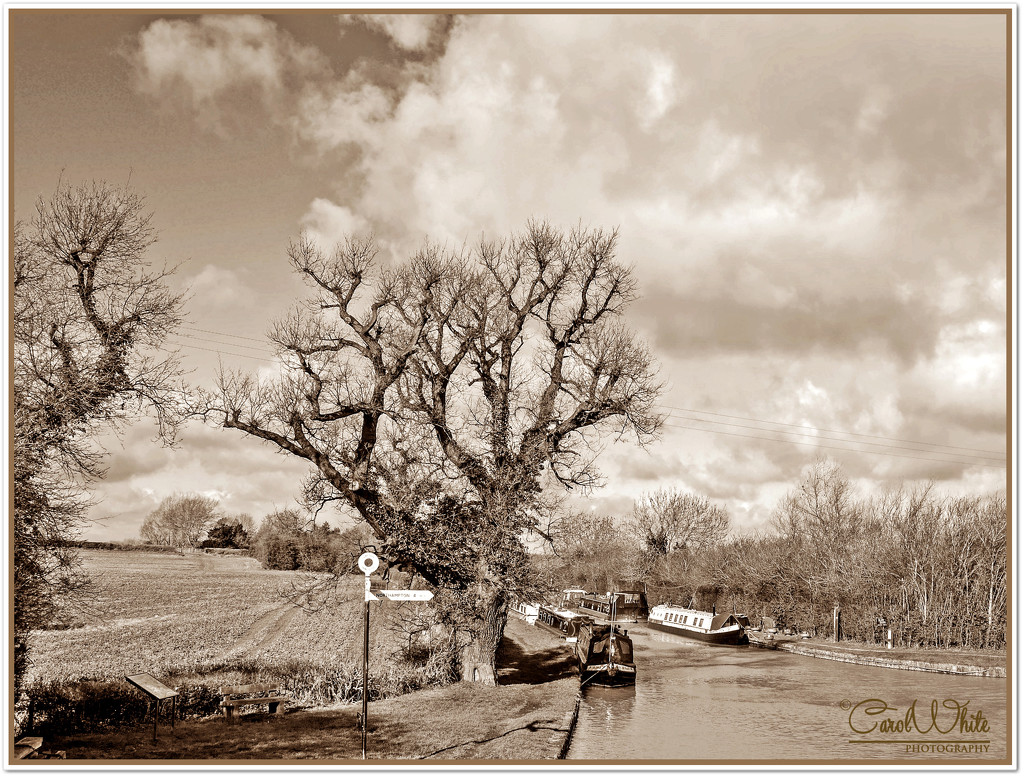 Winter On The Canal by carolmw