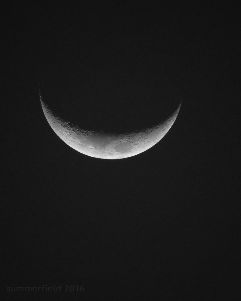 the crescent moon by summerfield