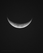 12th Feb 2016 - the crescent moon