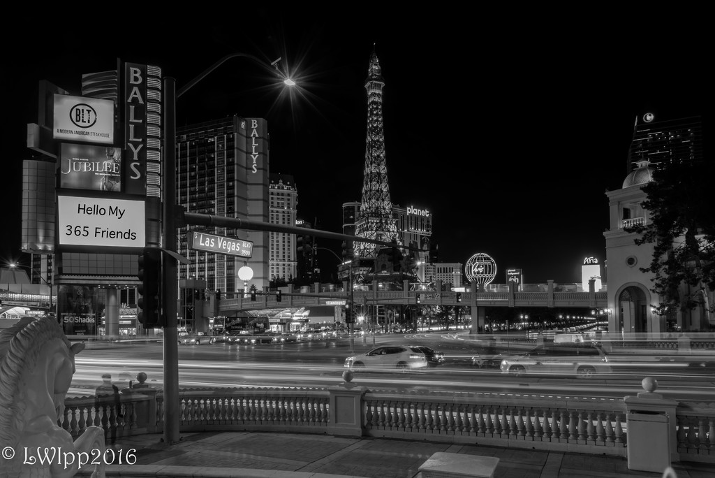 Vegas Is Calling ...Will You Answer ? by lesip