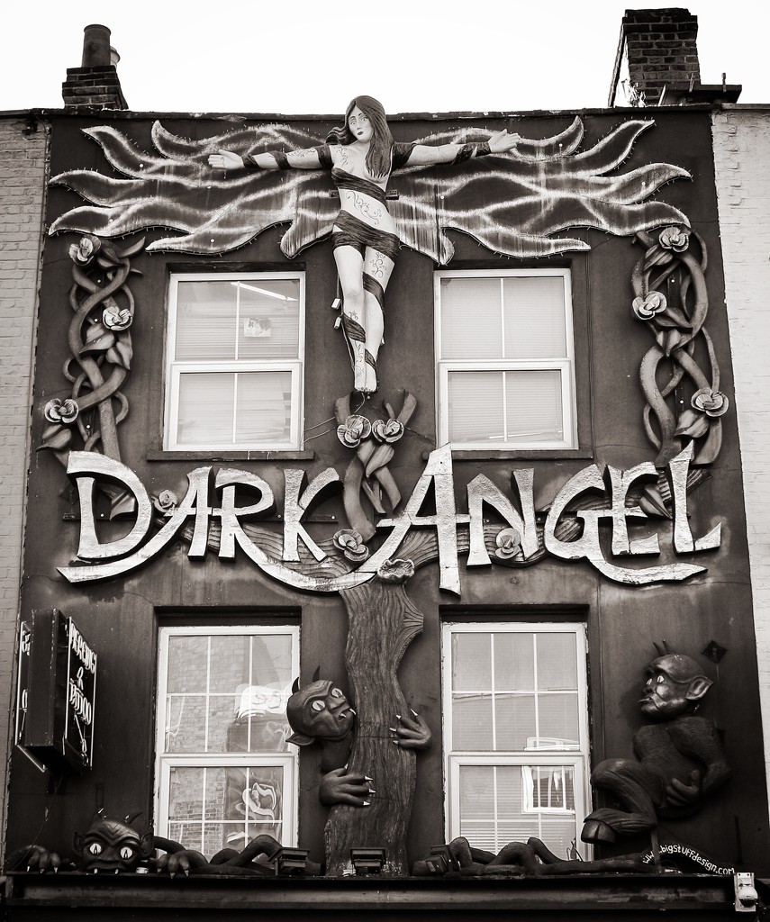 Dark Angel by swillinbillyflynn