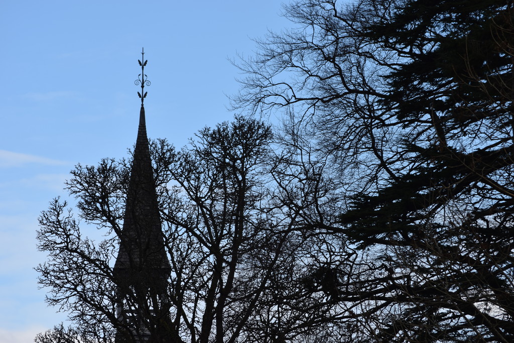 steeple and trees by christophercox