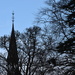 steeple and trees by christophercox