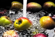 13th Feb 2016 - washing apples