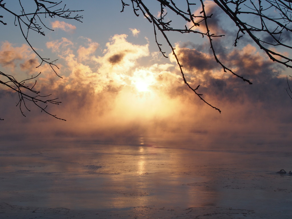 Cold Misty Morning by selkie