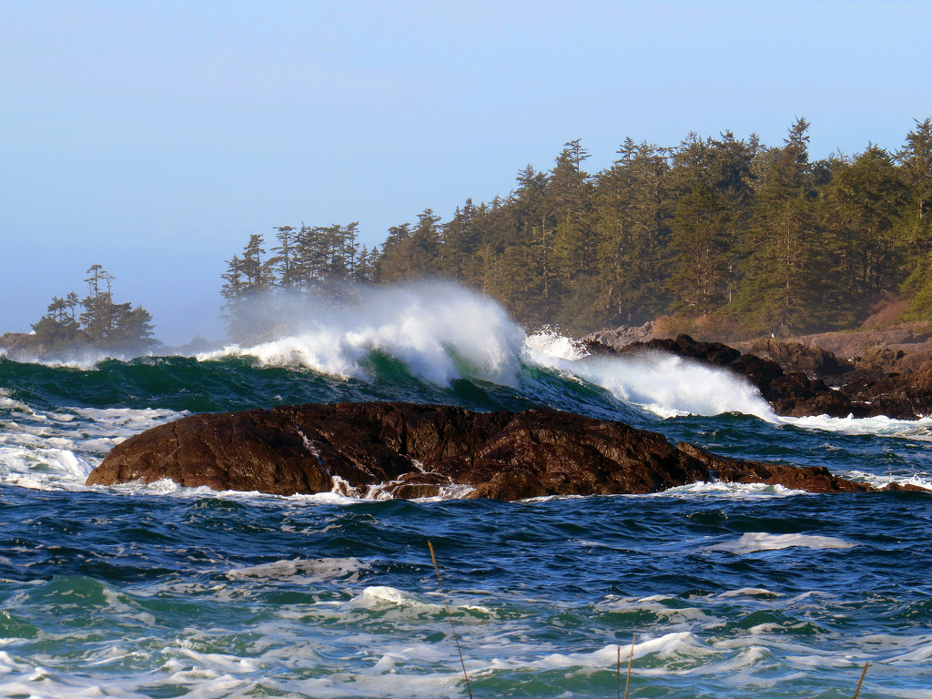 Long weekend in Ucluelet by kathyo