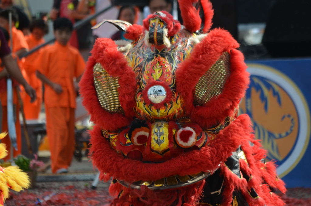 Lunar New Year Festival Houston by kdrinkie