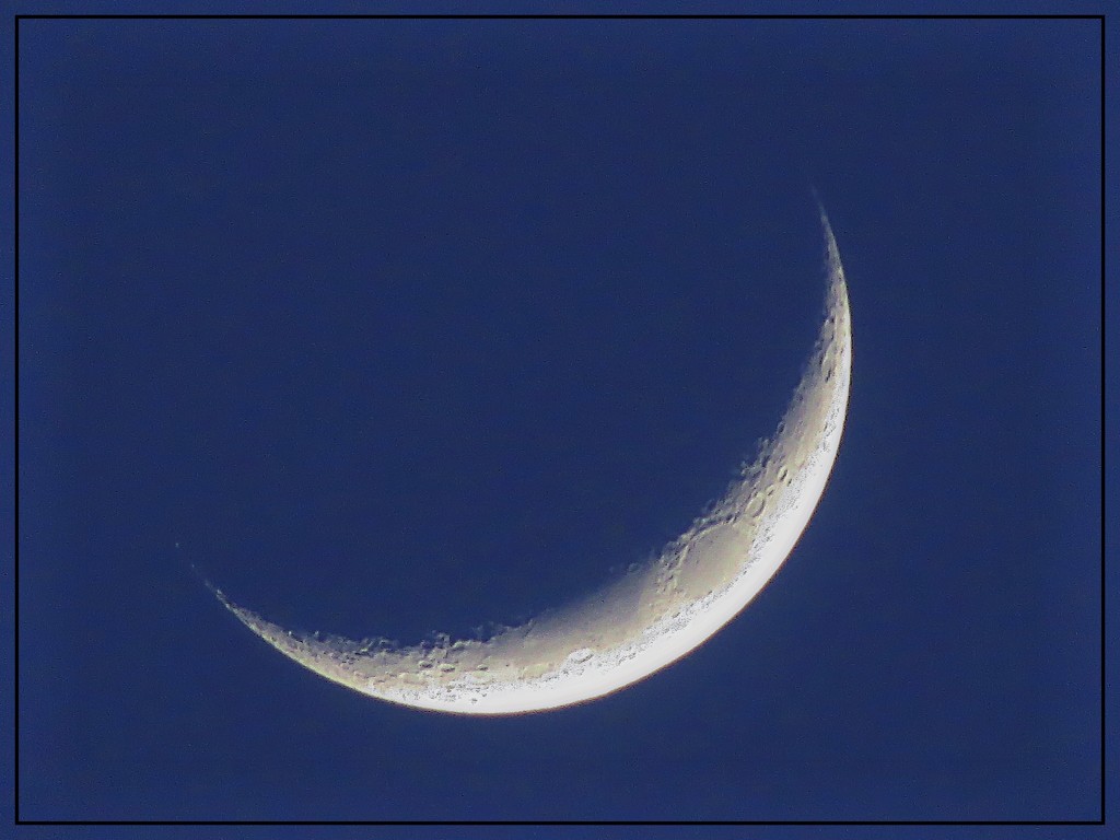 Pretty Crescent Moon by olivetreeann