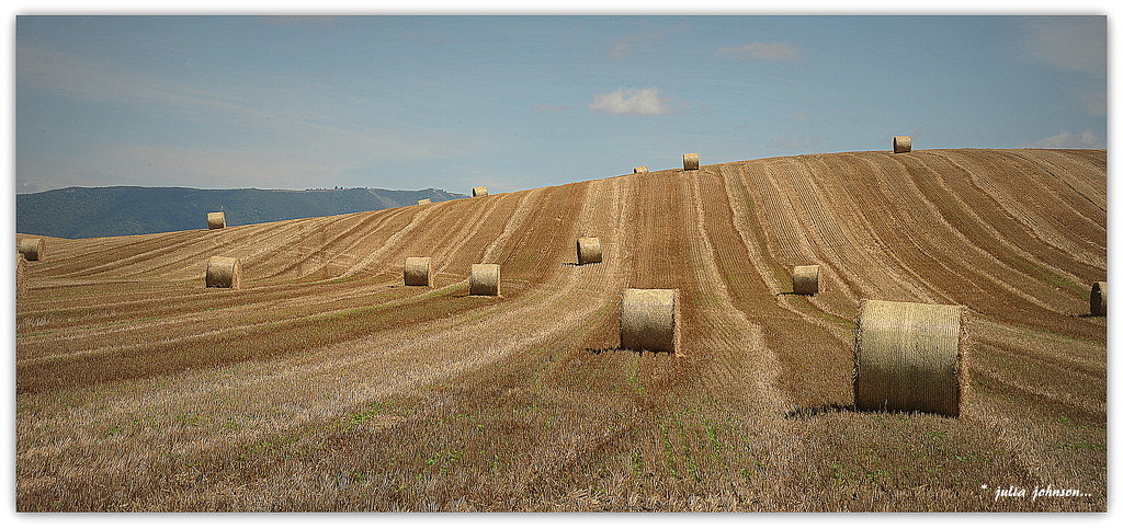 Barley Fields.... by julzmaioro