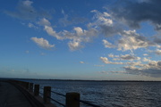 14th Feb 2016 - Charleston Harbor from The Battery