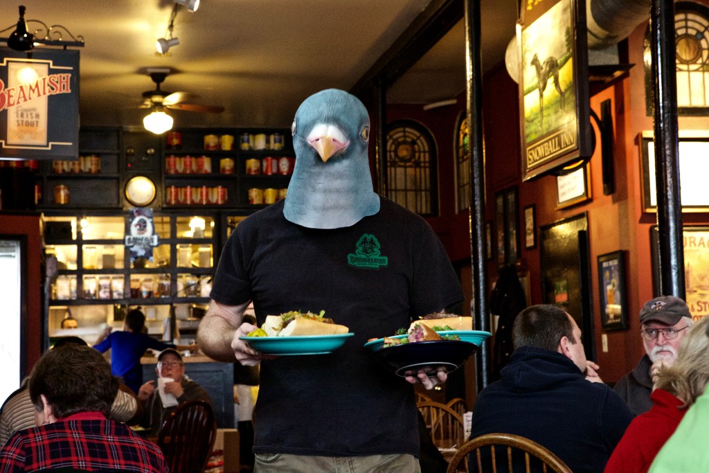 74th St. Ale House -Role Reversal-Pigeon Delivers by seattle