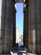 24th Jan 2016 - Luxor Temple