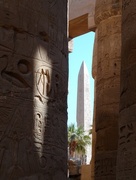 29th Jan 2016 - Columns at Karnak