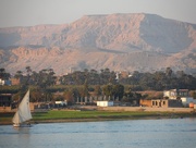 31st Jan 2016 - Nile View