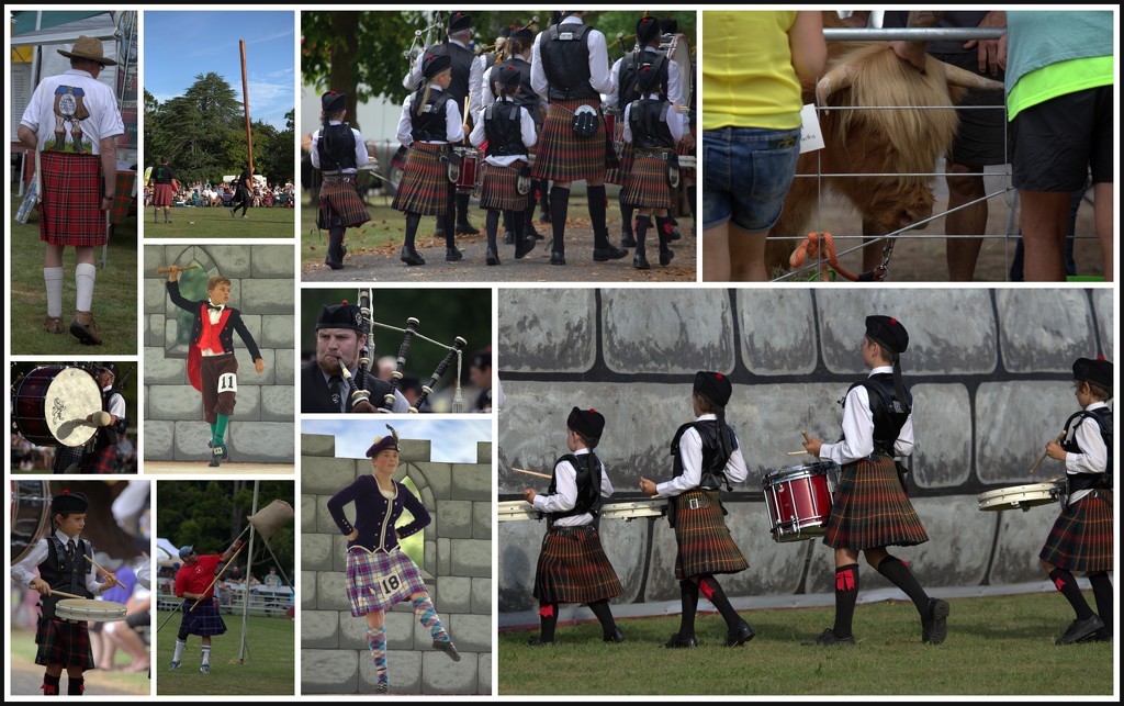 Highland games Paeroa by dide