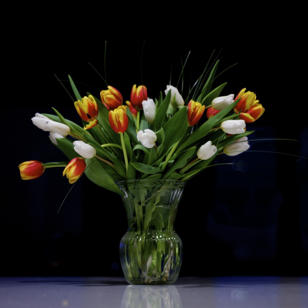 Valentine Tulips by kwind