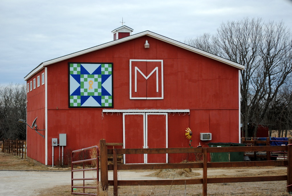 Kansas Barn Quilt 7 by genealogygenie