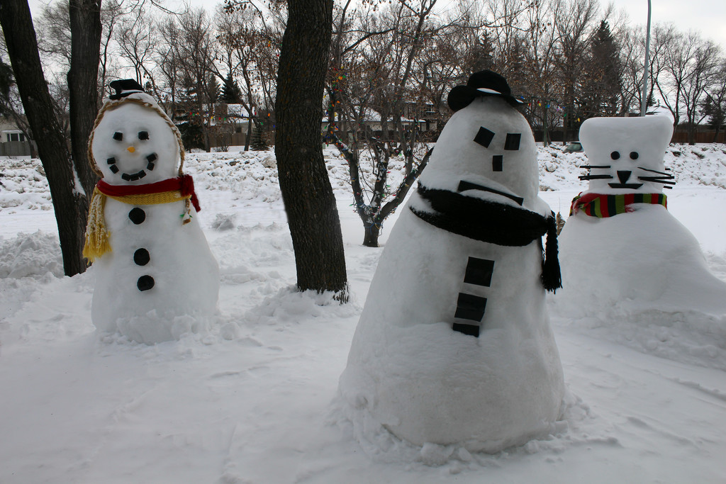 Snow Family_95:365 by gaylewood