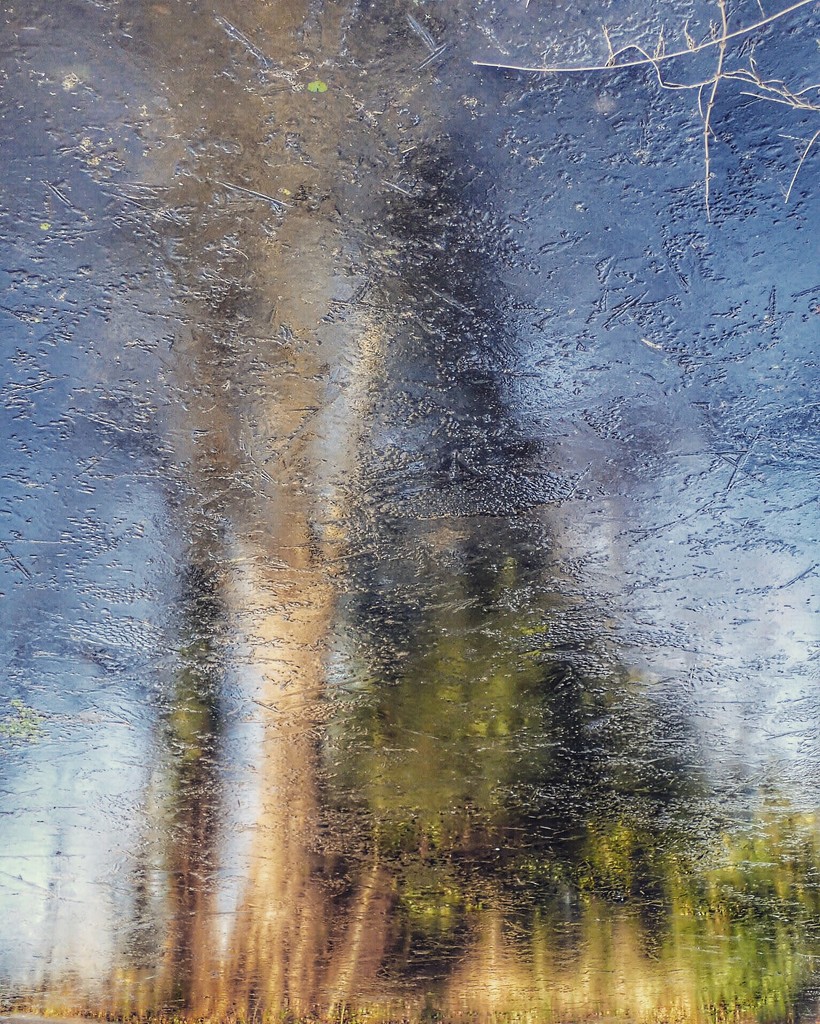 Icy Reflection by mattjcuk