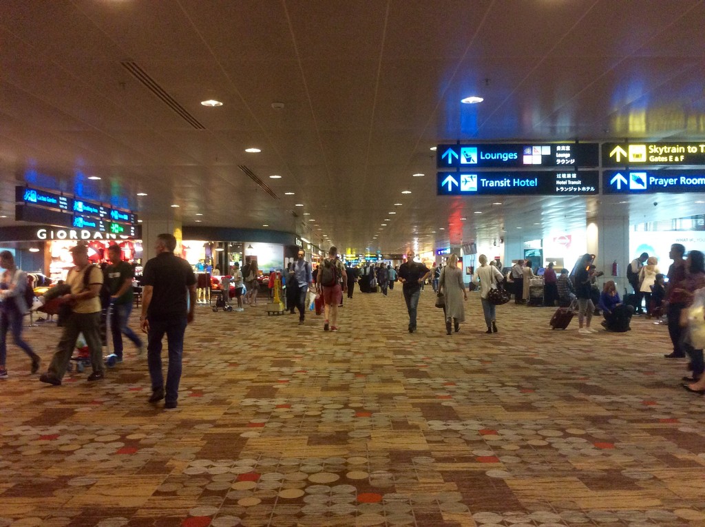 Changi International Airport by happypat