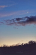 10th Feb 2016 - Young Moon