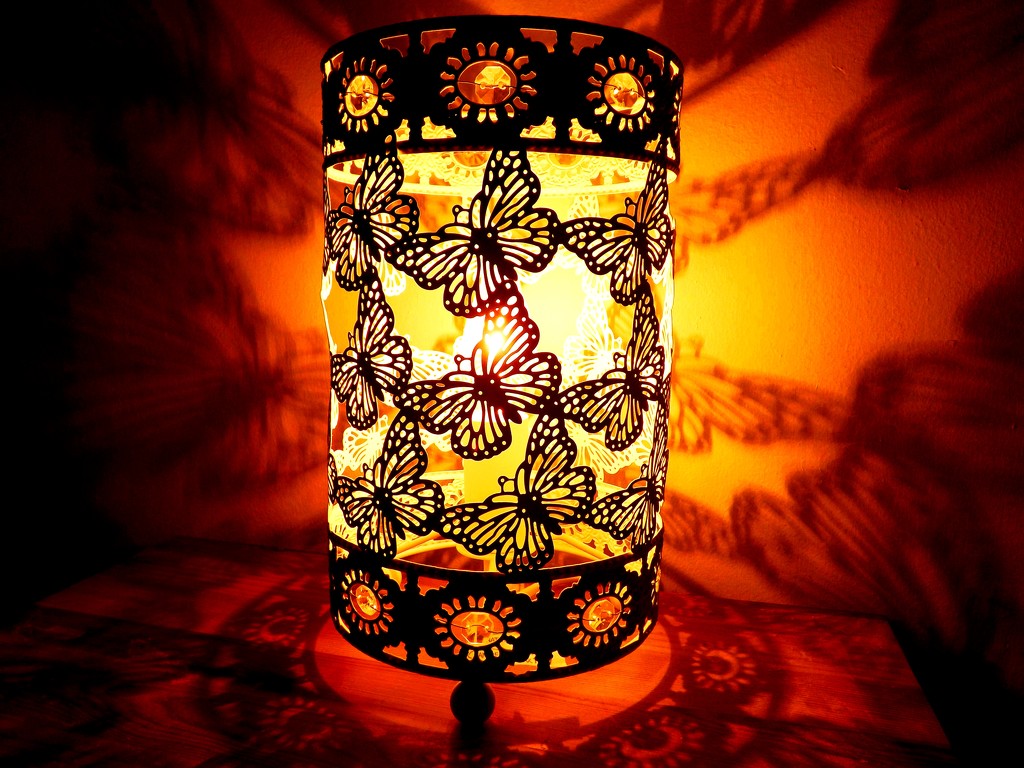 'By the light of the Butterfly lamp...' by ajisaac