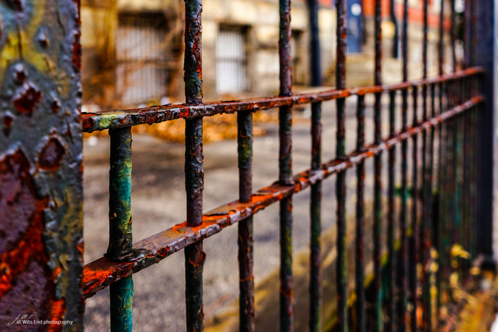 Rusty Fence by jae_at_wits_end