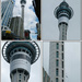 The Skytower - Auckland by onewing