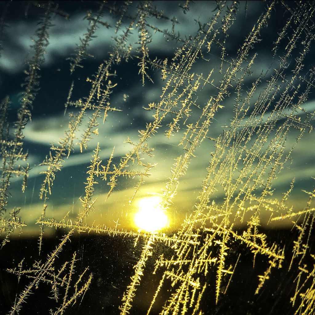 Frosty Sunrise by jeffjones