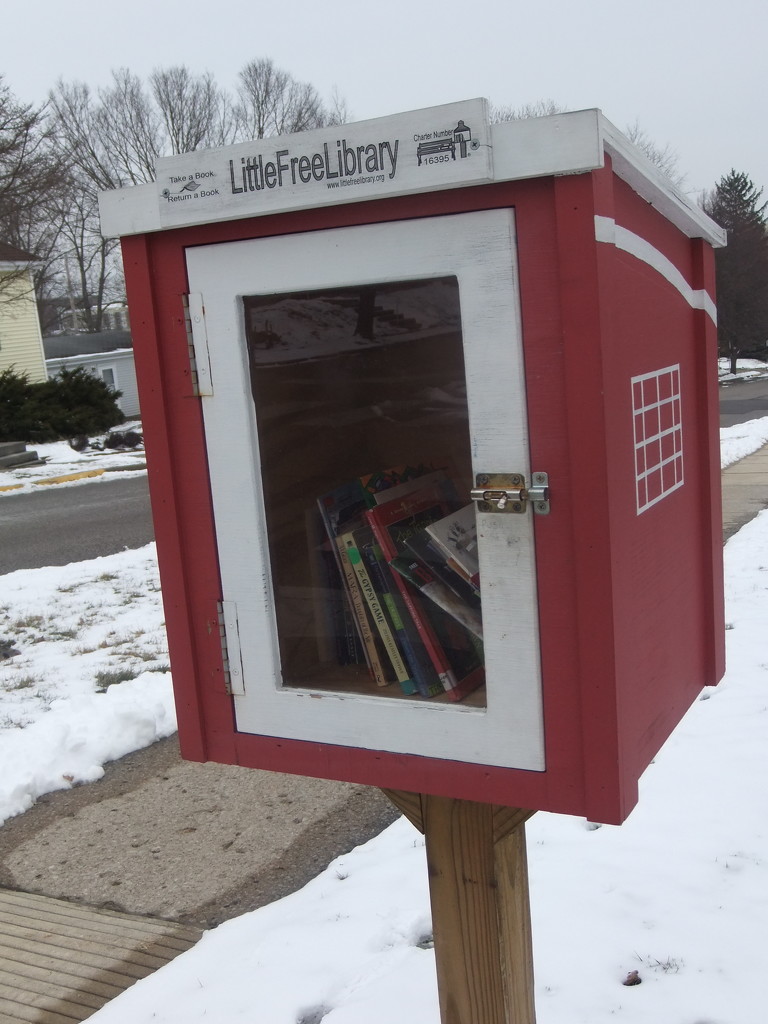 Little Free Library by gratitudeyear