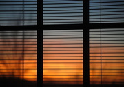 14th Feb 2016 - Indoor Sunset - When It's Too Cold to Go Out