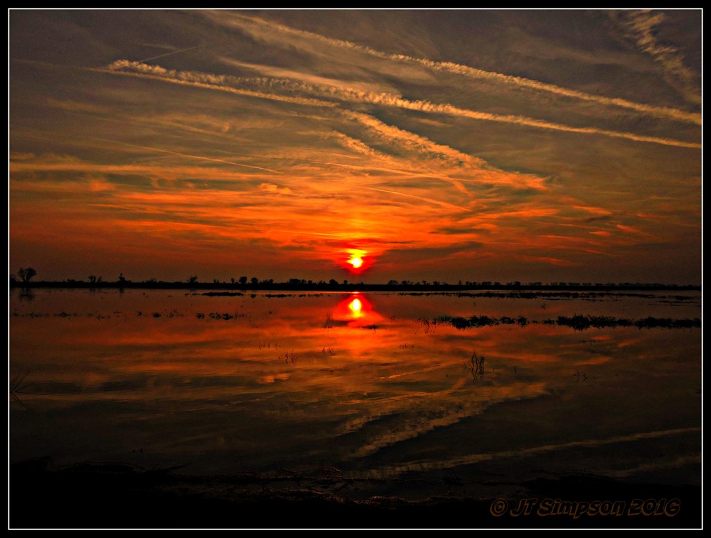 Twin Suns... by soylentgreenpics