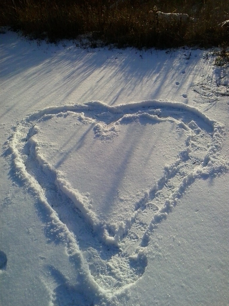 Heart of snow. by ivm