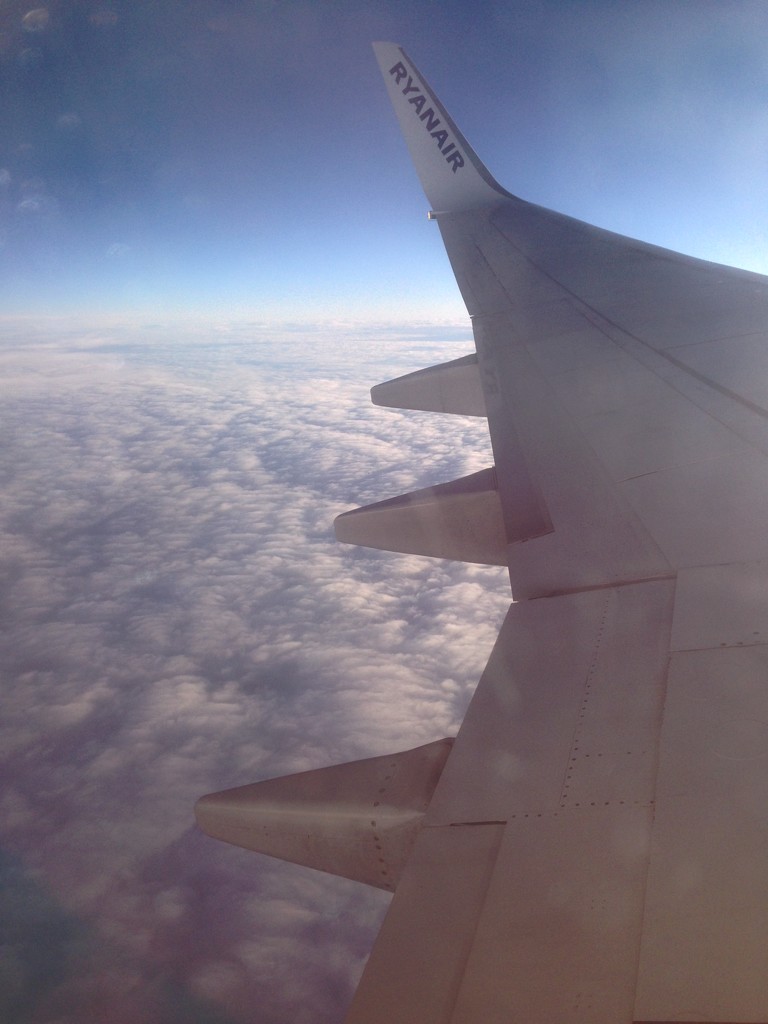 Flying Home... by bilbaroo