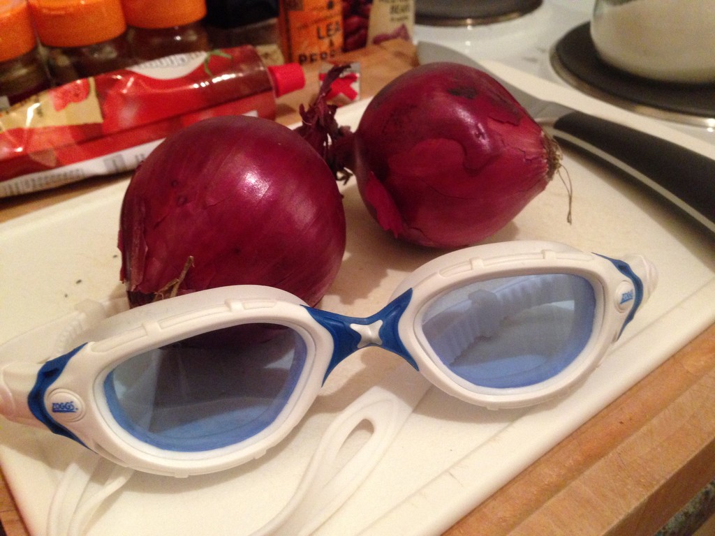 Damn onions by bilbaroo
