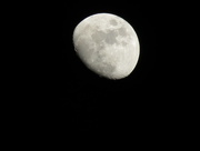 18th Feb 2016 - 18th Feb 2016 It's the moon...