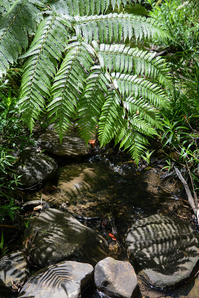 Shady spot by jeneurell