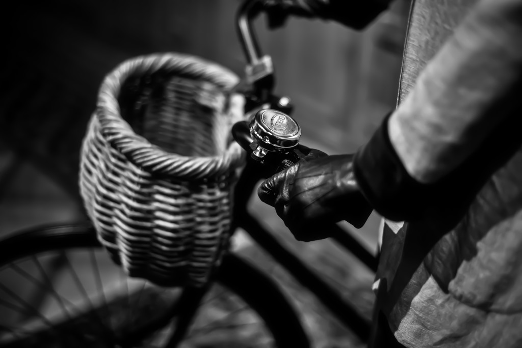 The Cyclist by taffy