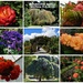 Christchurch Botanical Gardens.. by happysnaps