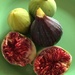 More figs by narayani