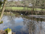 18th Feb 2016 - Reflections on the mill pond