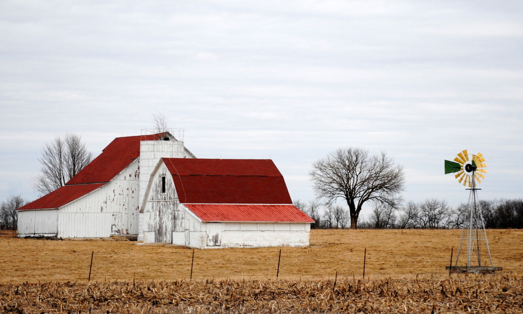 Kansas Farm by genealogygenie
