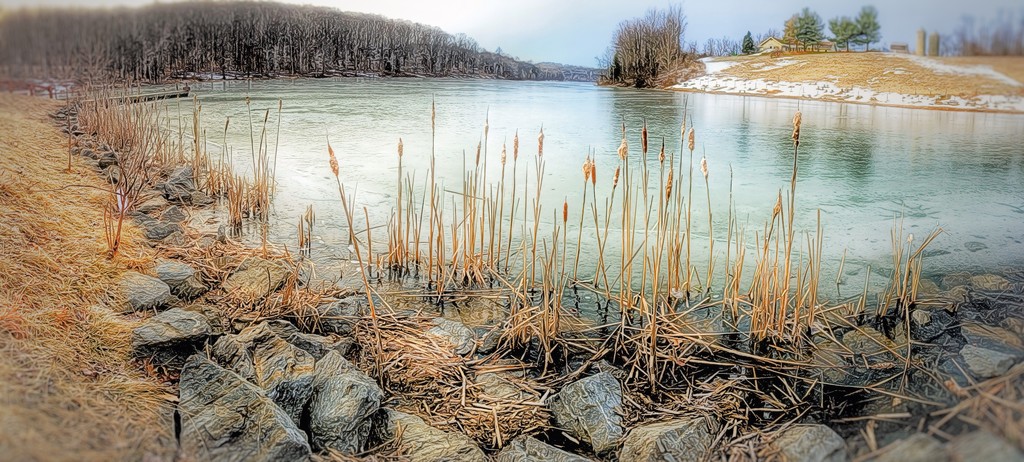 Hard Winter by sbolden