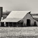 Old Barn #9543 by lsquared
