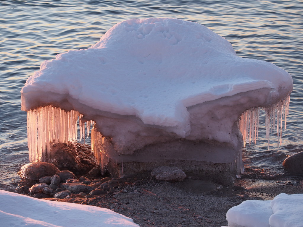 Whale's Tail or Jellyfish? by selkie